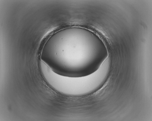 X0000115351309200911171324