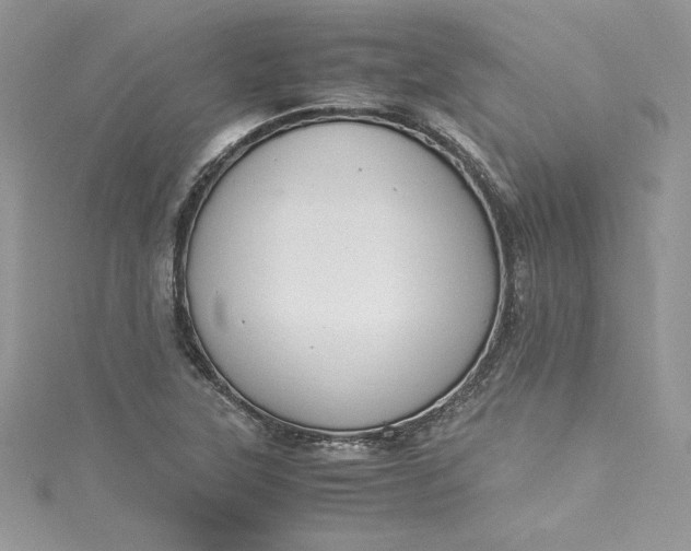 X0000115351315200911171324