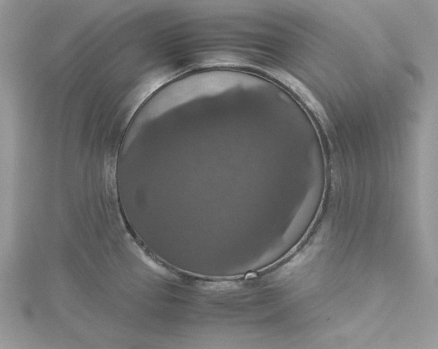 X0000115351337200911171324