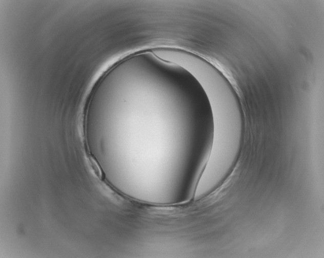 X0000115351342200911171324