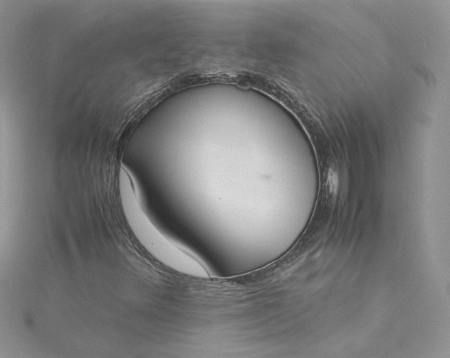 X0000115351348200911171323