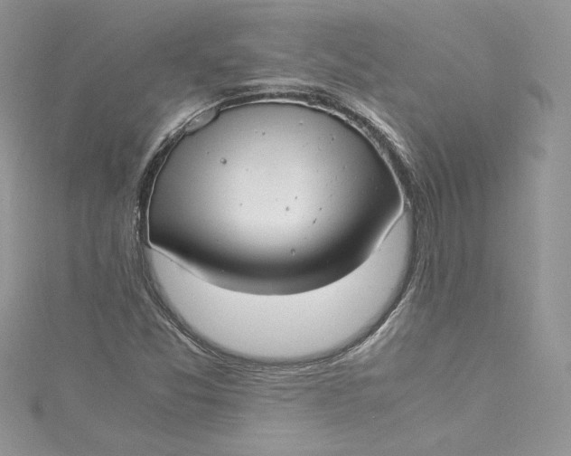 X0000115351357200911171323