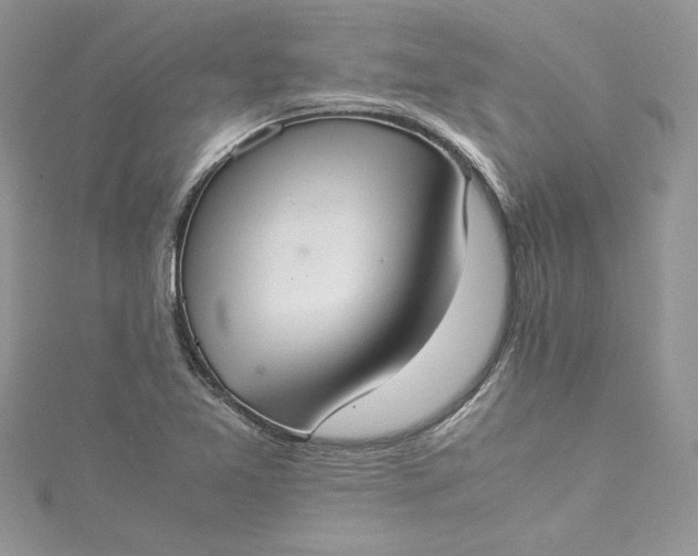 X0000115351365200911171323
