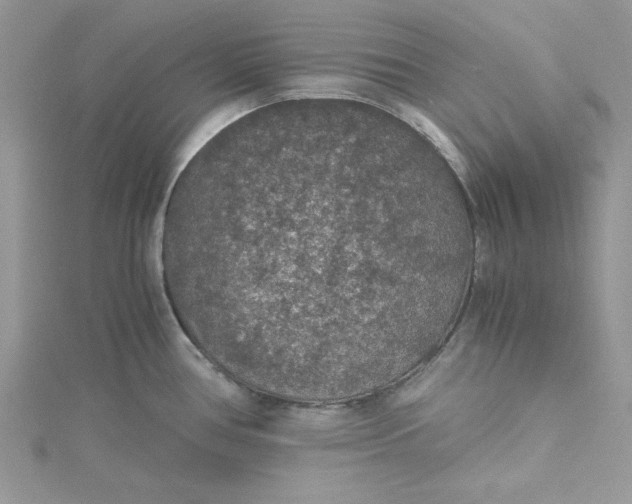 X0000115351386200911171323