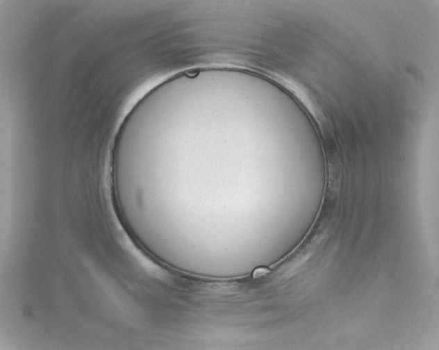 X0000115351387200911171323