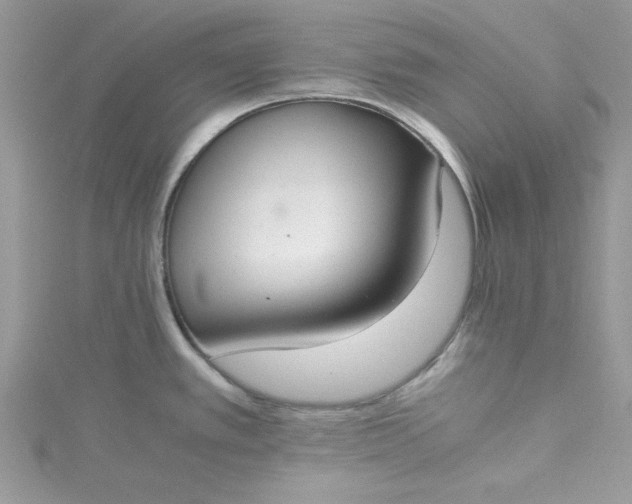X0000115351389200911171323