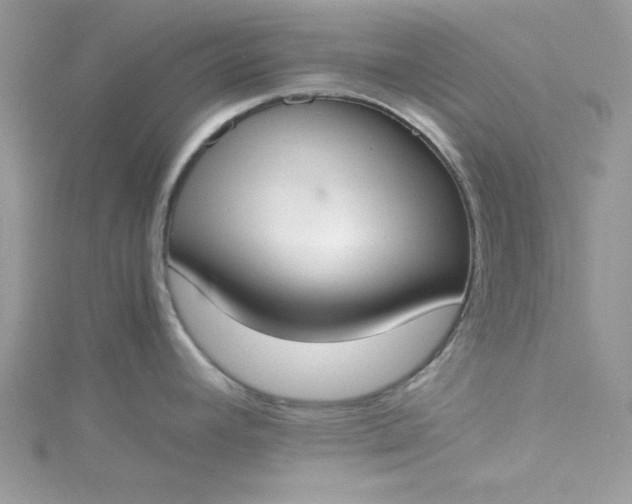 X0000115351392200911171323