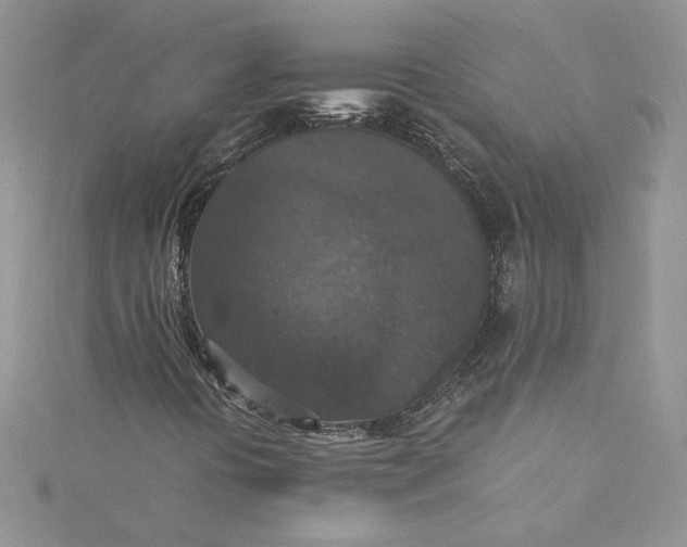 X0000115351394200911171322