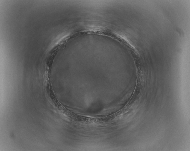 X0000115351399200911171322
