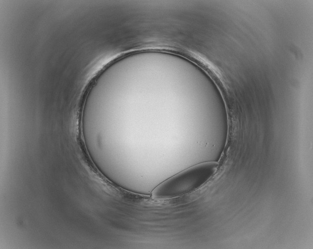 X0000115351415200911171322