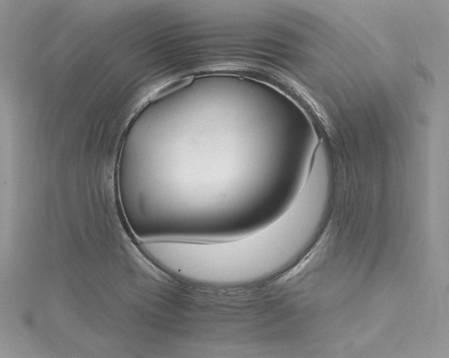 X0000115351417200911171322