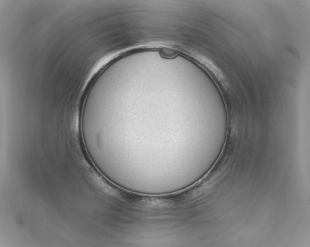 X0000115351420200911171322