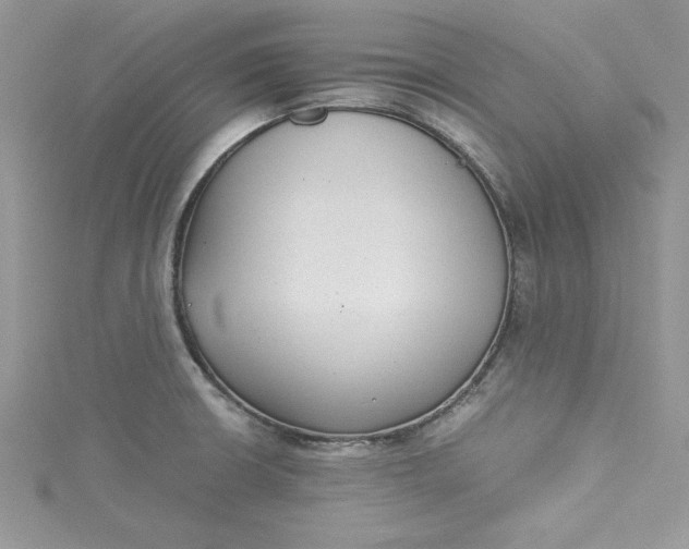 X0000115351426200911171322