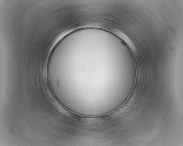 X0000115351436200911171323