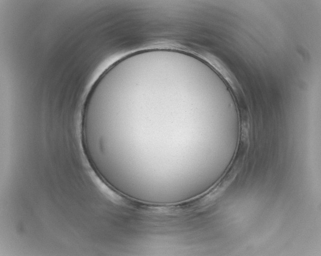 X0000115351438200911171323