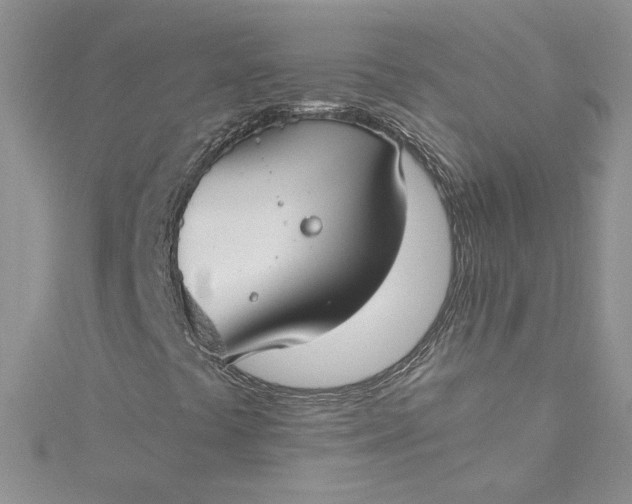 X0000115351441200911171322