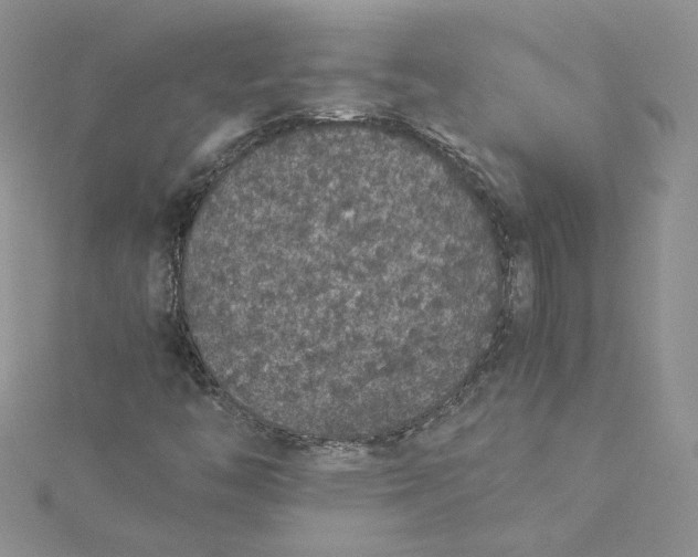 X0000115351446200911171322