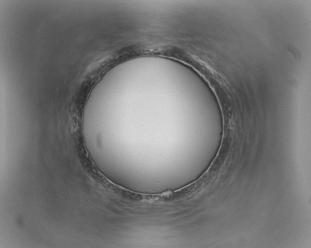 X0000115351447200911171322