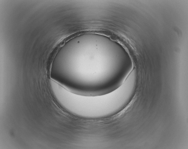 X0000115351449200911171322