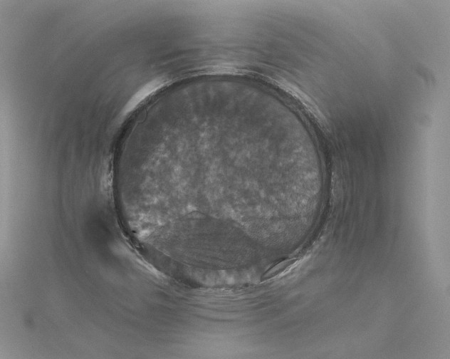 X0000115351450200911171322