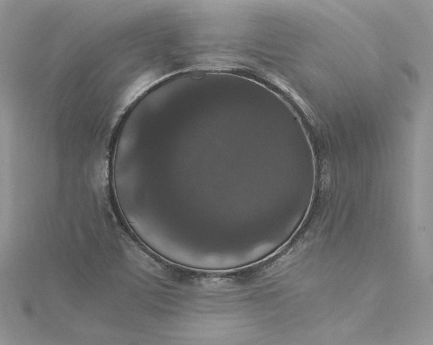 X0000115351459200911171322