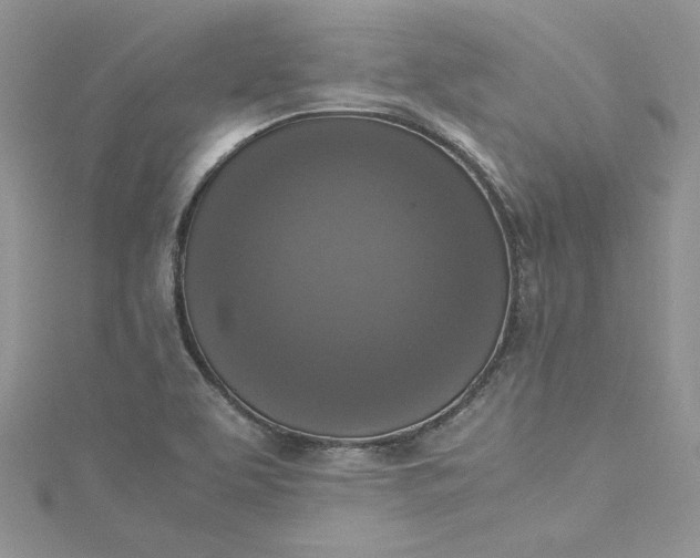 X0000115351463200911171322