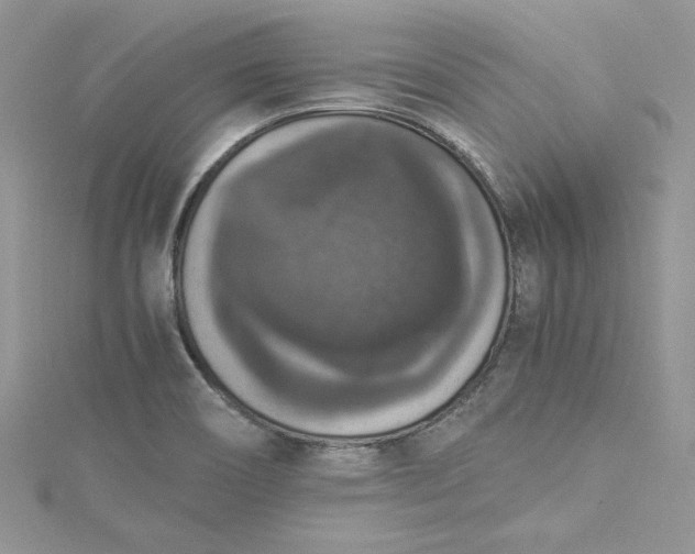 X0000115351466200911171322