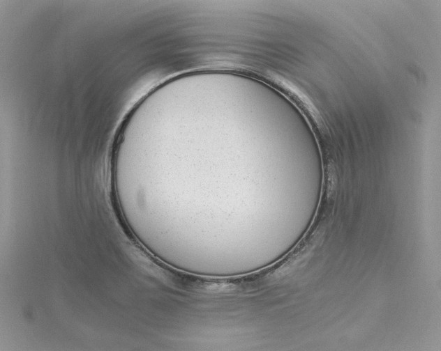 X0000115351467200911171322