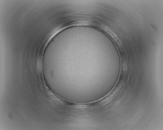 X0000115351473200911171322