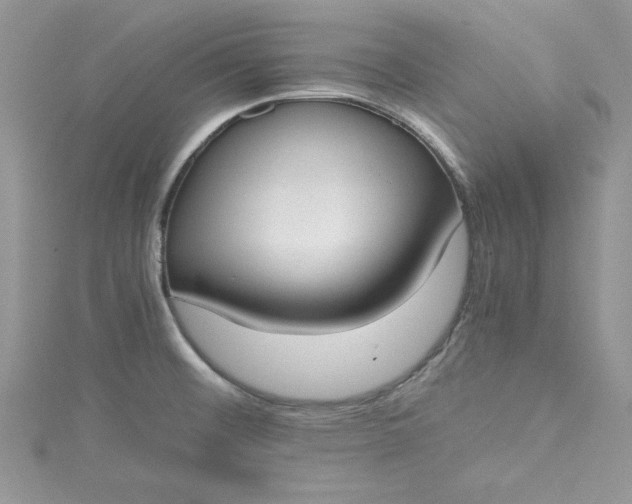 X0000115351476200911171322