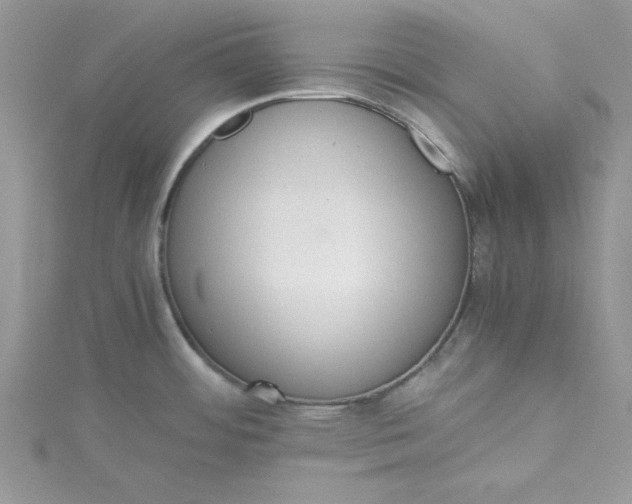 X0000115351484200911171321