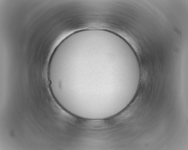 X0000115351486200911171321