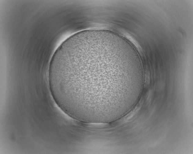 X0000115351487200911171321