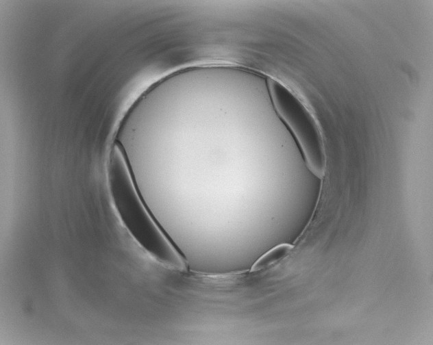 X0000115351488200911171321