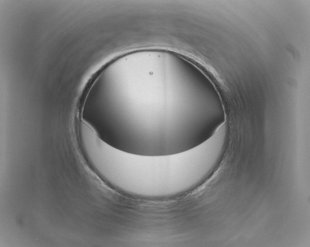 X0000115351510200911171321