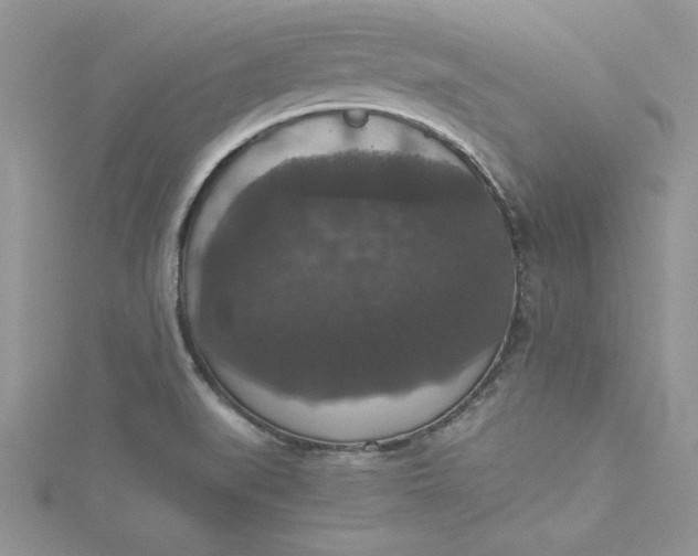X0000115351519200911171321
