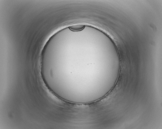 X0000115351526200911171321
