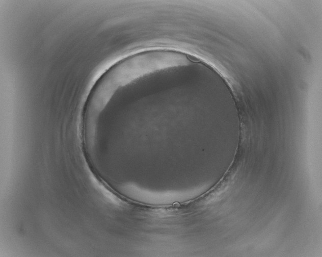 X0000115351527200911171321
