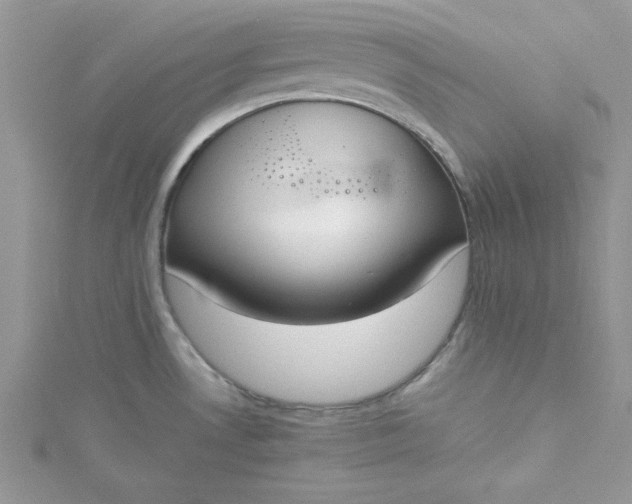 X0000115351530200911171321