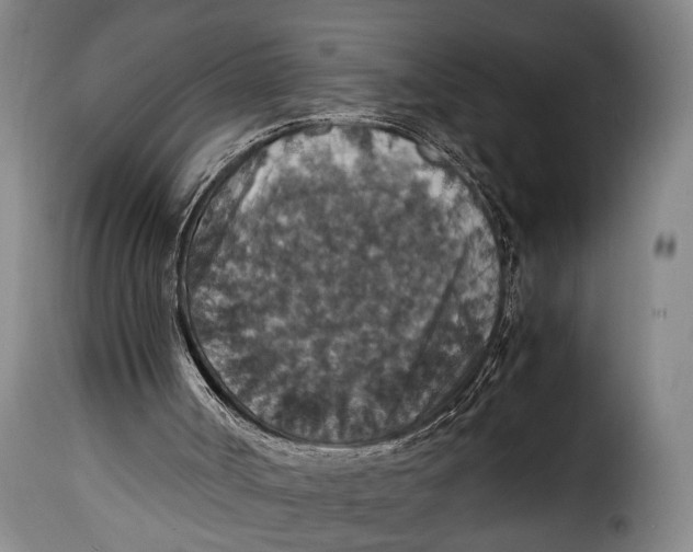 X0000115350002200911241204