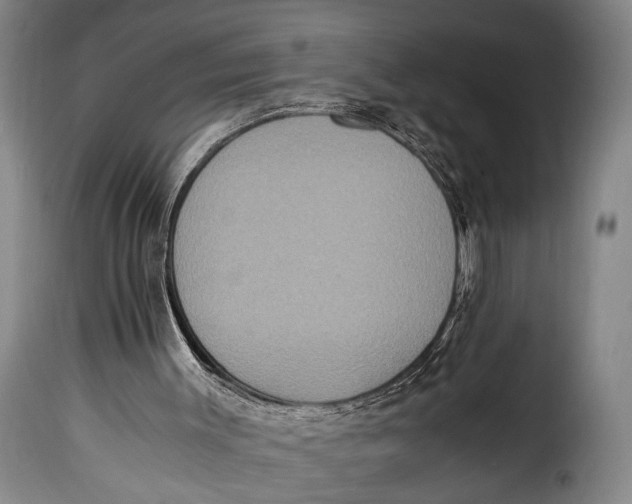 X0000115350003200911241204