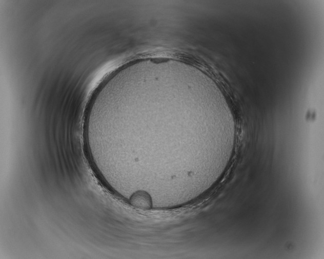 X0000115350006200911241204