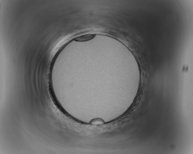 X0000115350007200911241204