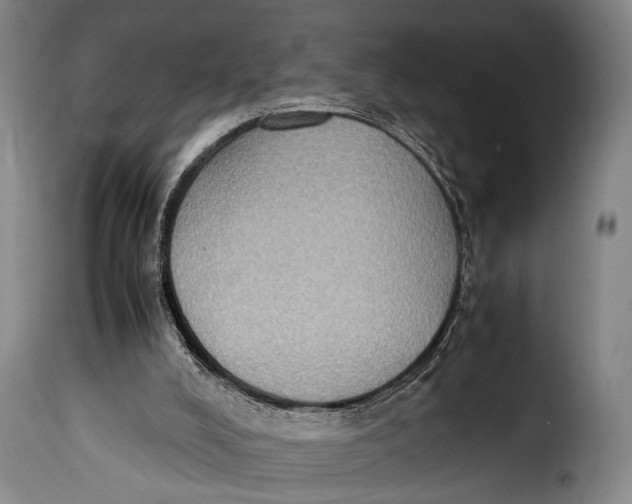 X0000115350008200911241204