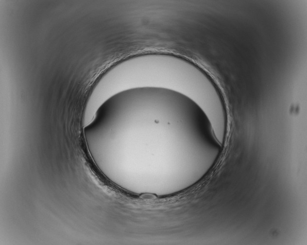 X0000115350009200911241204