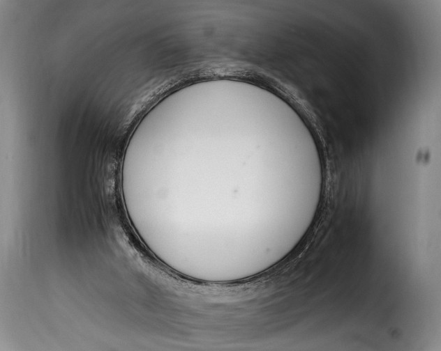 X0000115350010200911241204
