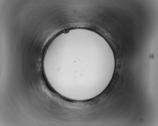 X0000115350012200911241204