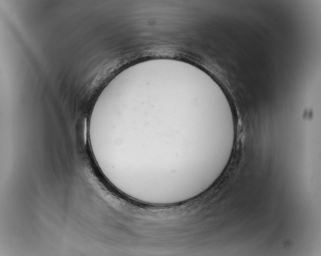 X0000115350013200911241203