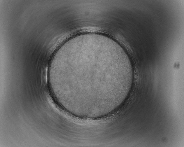 X0000115350014200911241203
