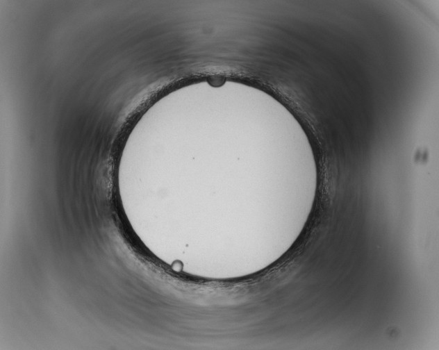 X0000115350016200911241203
